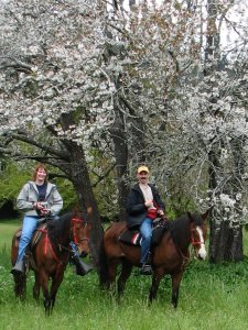 Me on Natasha and Bob on Malaeka under the flowering plum tree